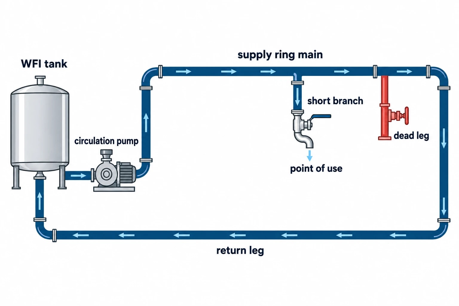 WFI system design and energy optimisation begin with sanitary hydraulics