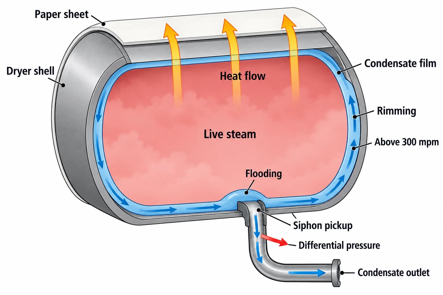Why condensate evacuation changes above 350 mpm