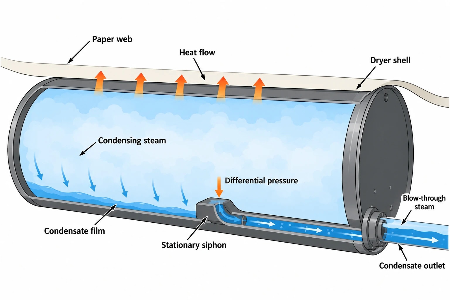 Why dryer drainage matters in paper mill steam system optimisation