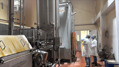Engineer inspecting process equipment and gas infrastructure