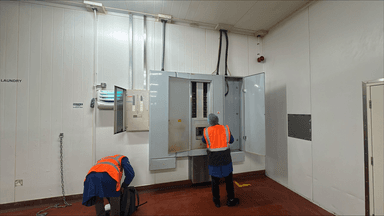 Electrical distribution panel survey and documentation