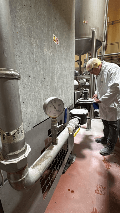 Process pipework assessment and metering point identification