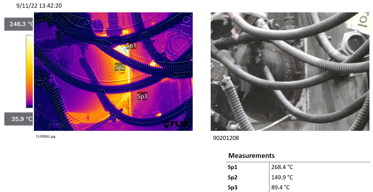 TYPE: photograph
CONTENT: The image